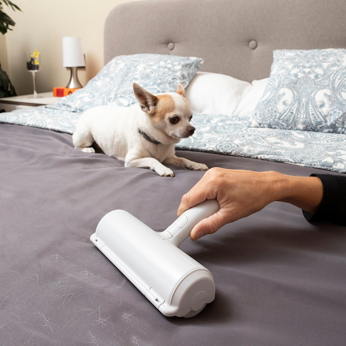 Pet Hair Remover Roller Rellair InnovaGoods-9