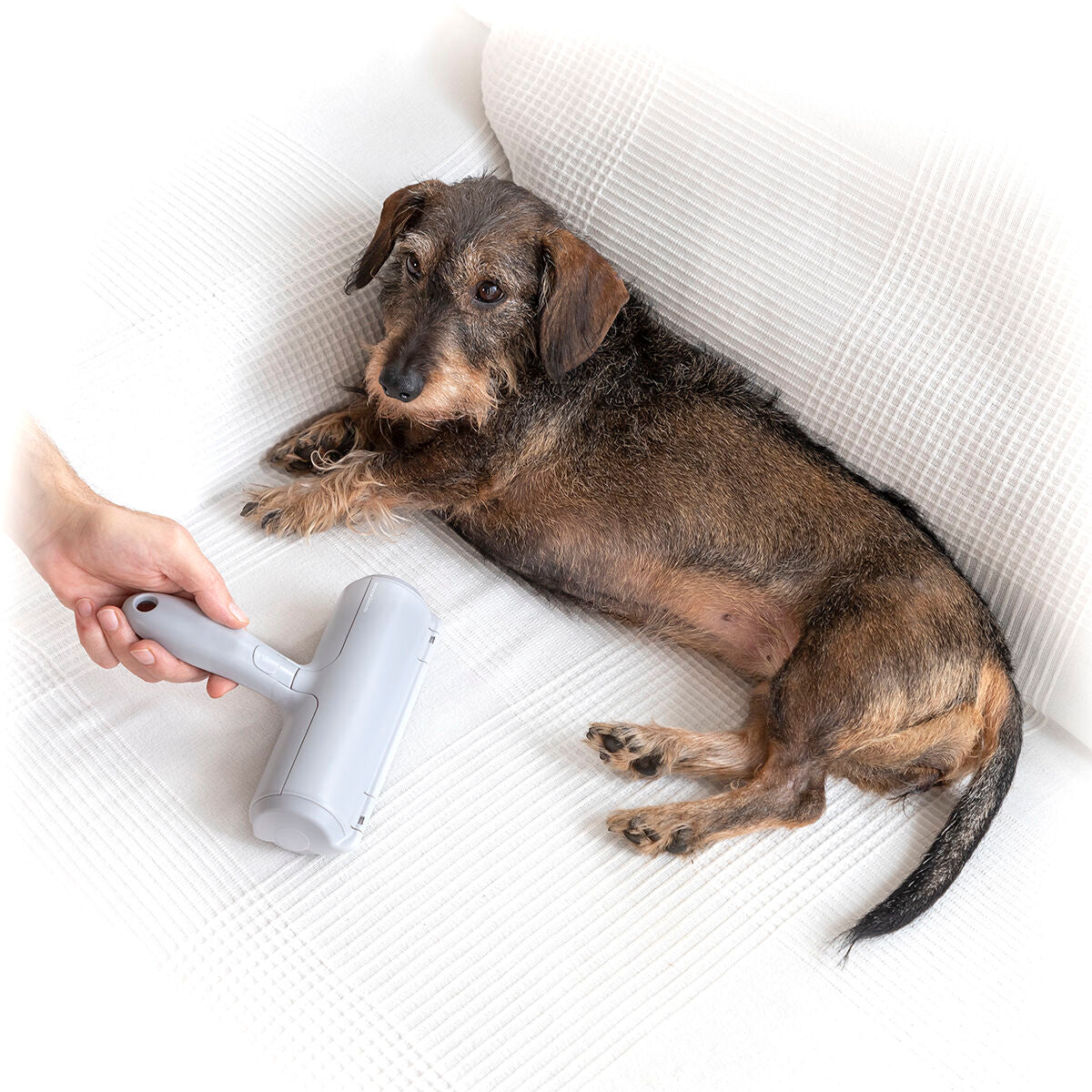 Pet Hair Remover Roller Rellair InnovaGoods-4